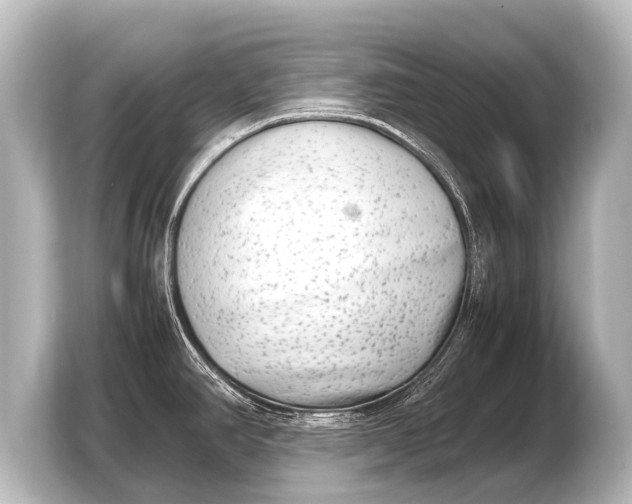 X0000103961390200810031155