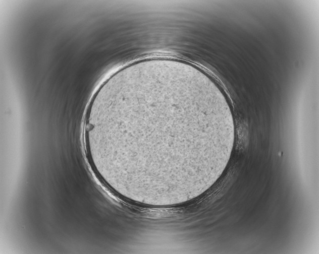 X0000103961391200810031155