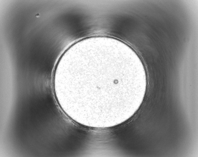 X0000103961392200810031155