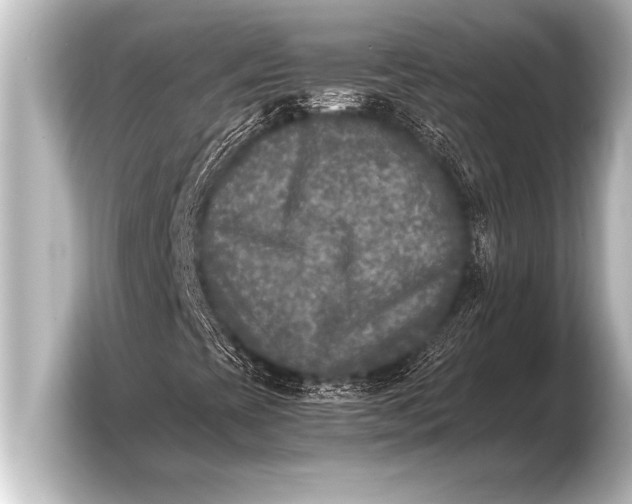X0000103961393200810031154