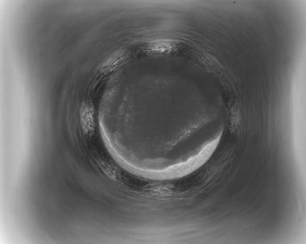 X0000103961394200810031154