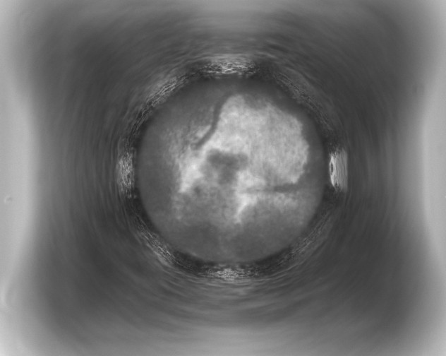 X0000103961395200810031154