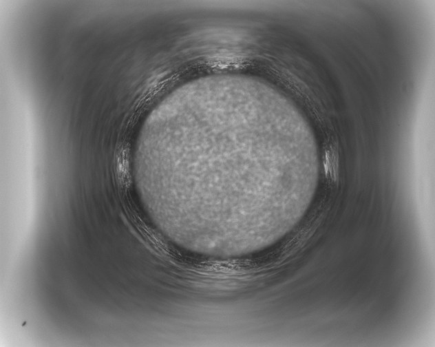 X0000103961396200810031154