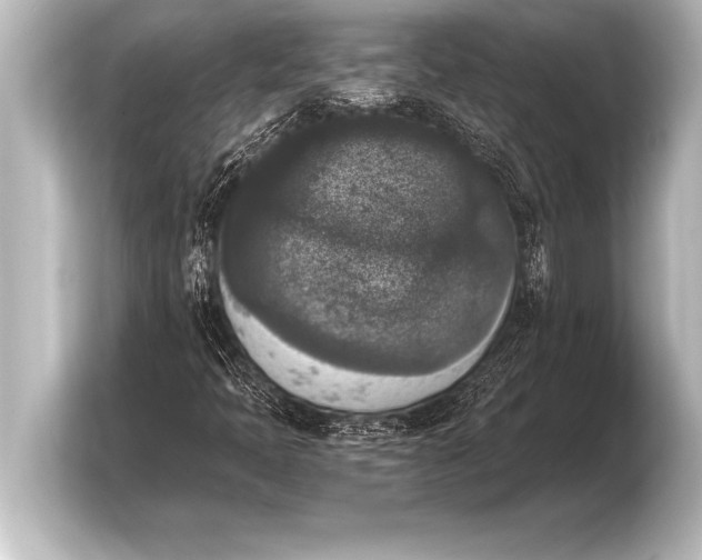 X0000103961397200810031154