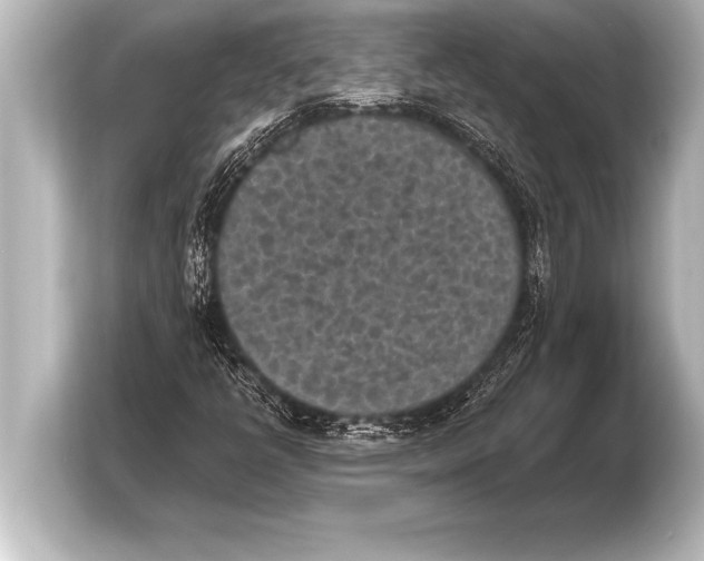 X0000103961398200810031154