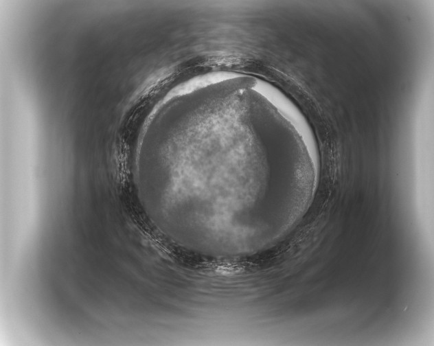 X0000103961399200810031154