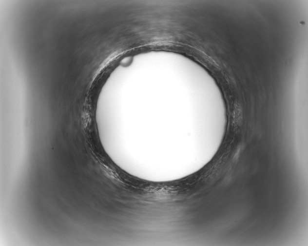 X0000103961400200810031154