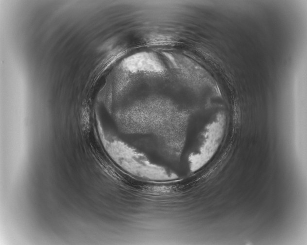 X0000103961401200810031154