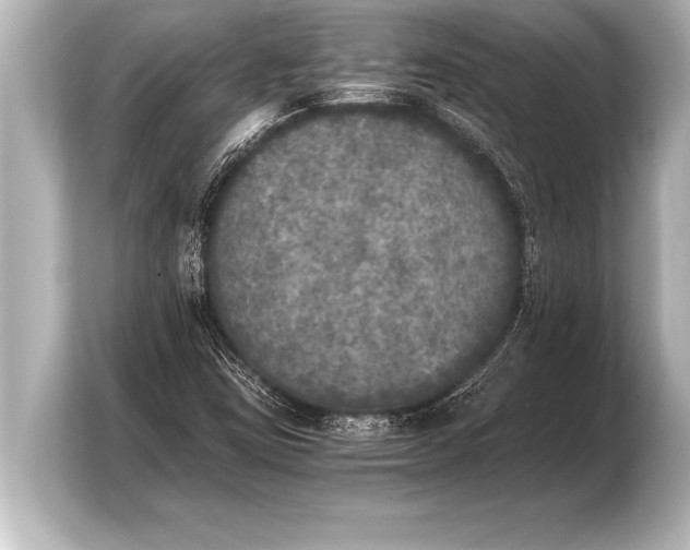 X0000103961403200810031154