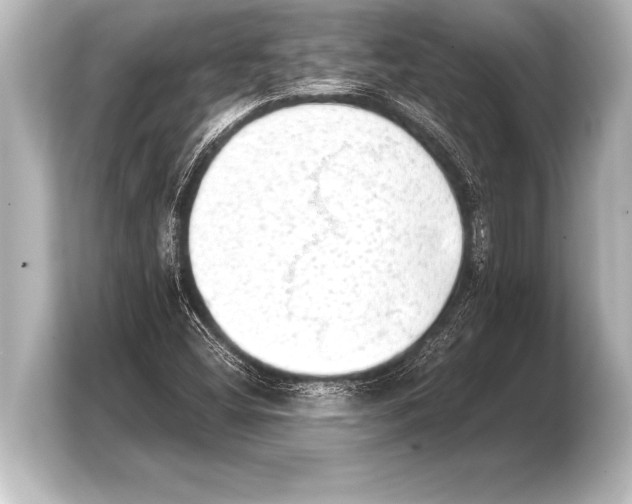 X0000103961404200810031154
