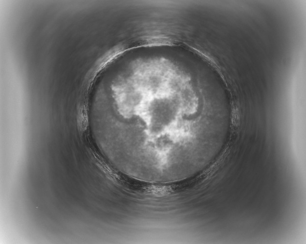 X0000103961407200810031155