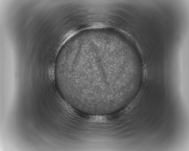 X0000103961409200810031155