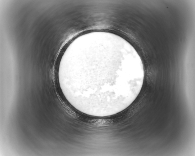 X0000103961412200810031155