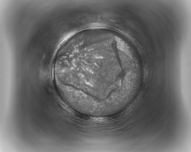 X0000103961413200810031155