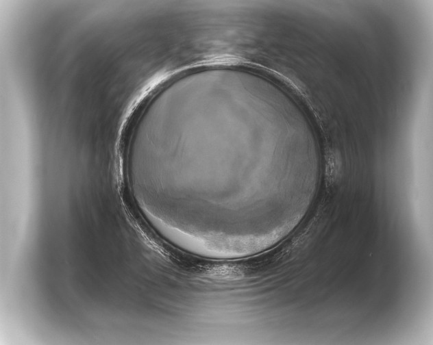 X0000103961414200810031155