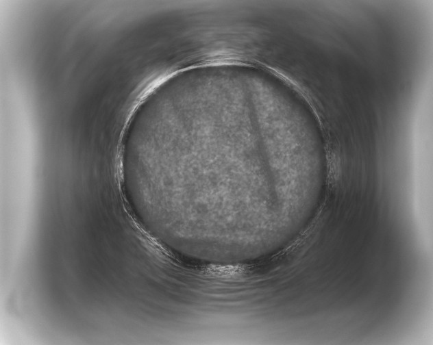 X0000103961415200810031155