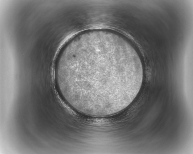X0000103961416200810031155