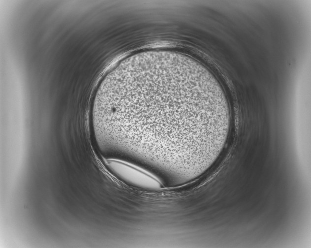 X0000103961417200810031155