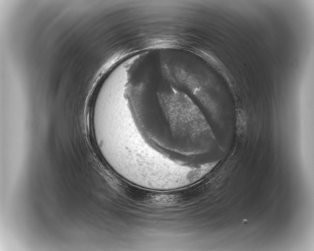 X0000103961419200810031155