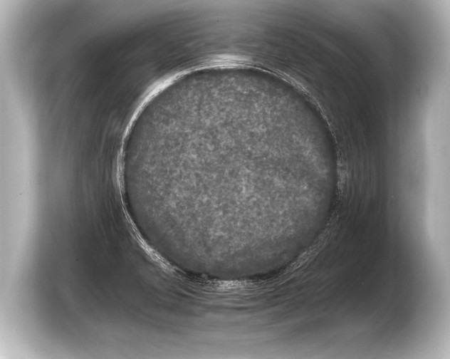 X0000103961421200810031155