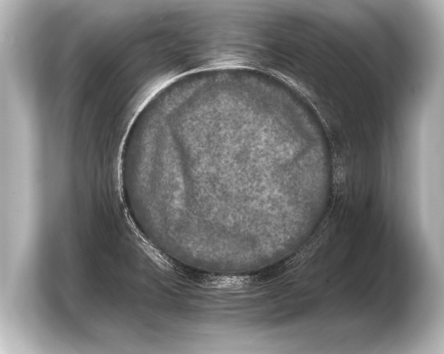 X0000103961423200810031155