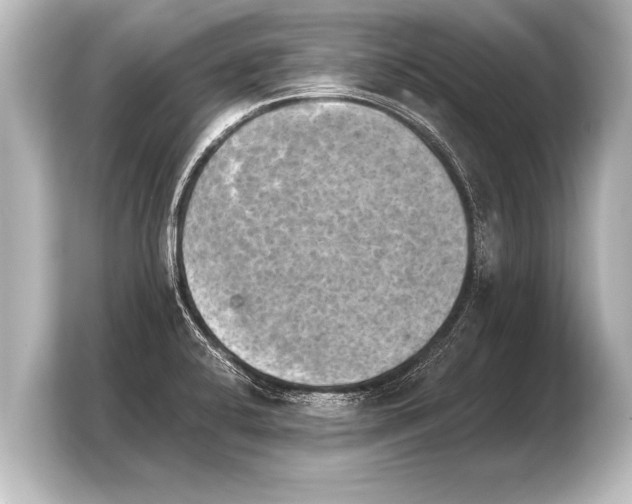 X0000103961424200810031155