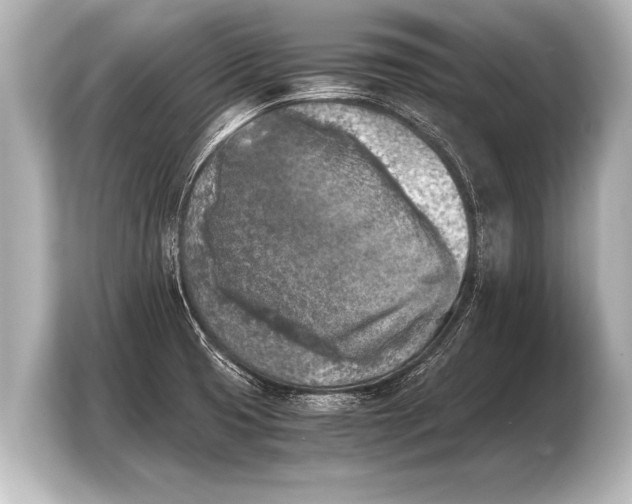 X0000103961425200810031155