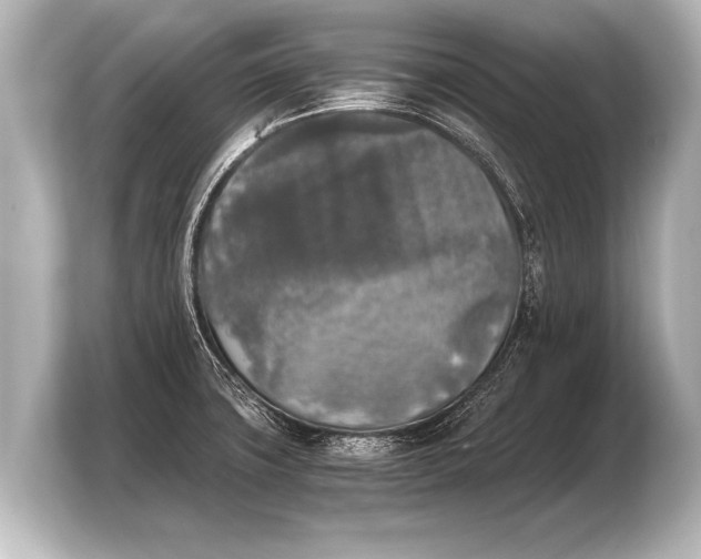 X0000103961427200810031155