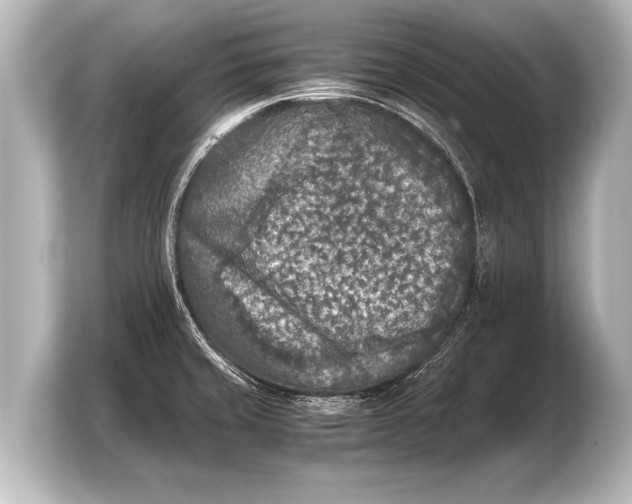 X0000103961429200810031155