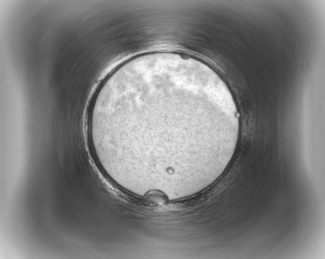 X0000103961430200810031155