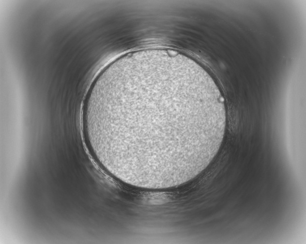 X0000103961431200810031155