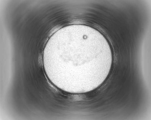 X0000103961433200810031155