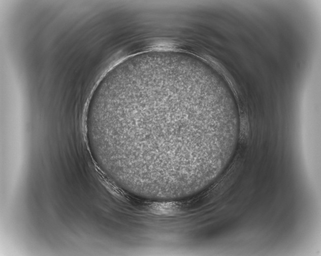 X0000103961435200810031155