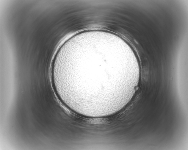 X0000103961437200810031155