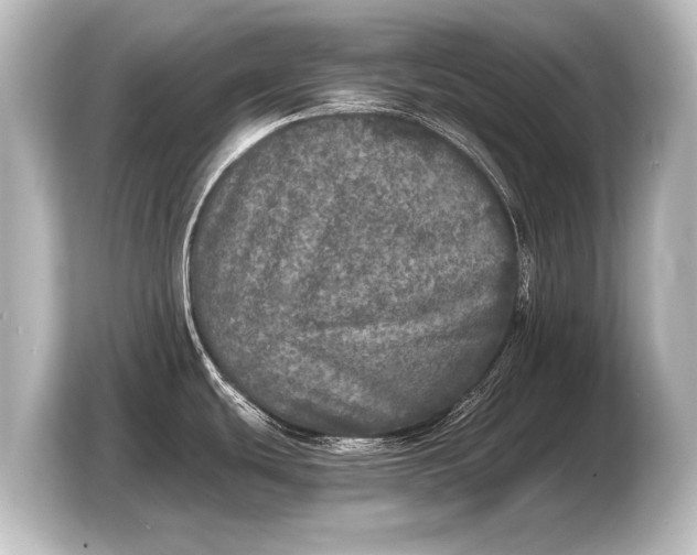 X0000103961439200810031155