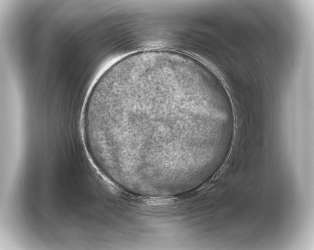 X0000103961440200810031155