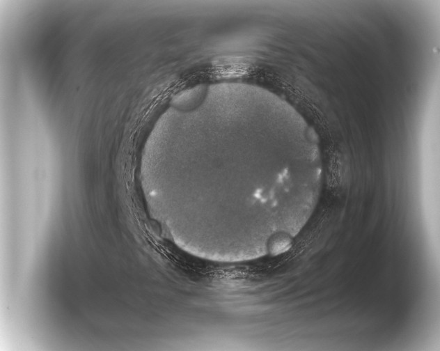 X0000103961441200810031154
