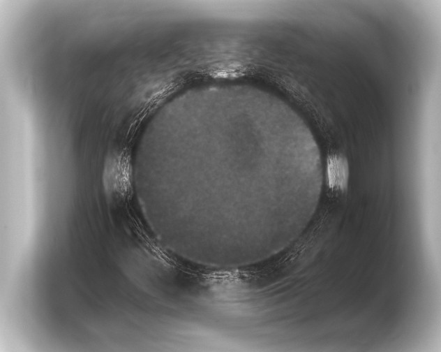 X0000103961444200810031154