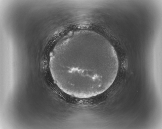 X0000103961445200810031154