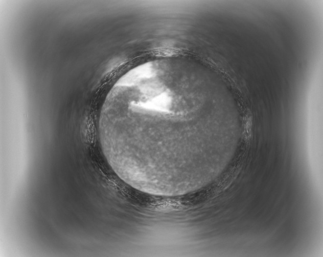 X0000103961446200810031154