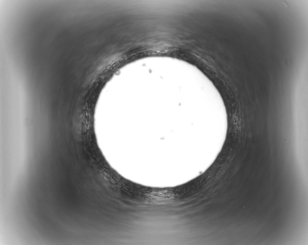X0000103961447200810031154
