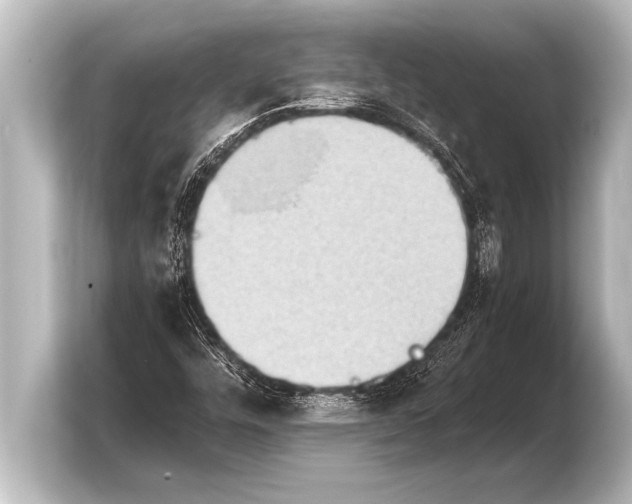 X0000103961448200810031154
