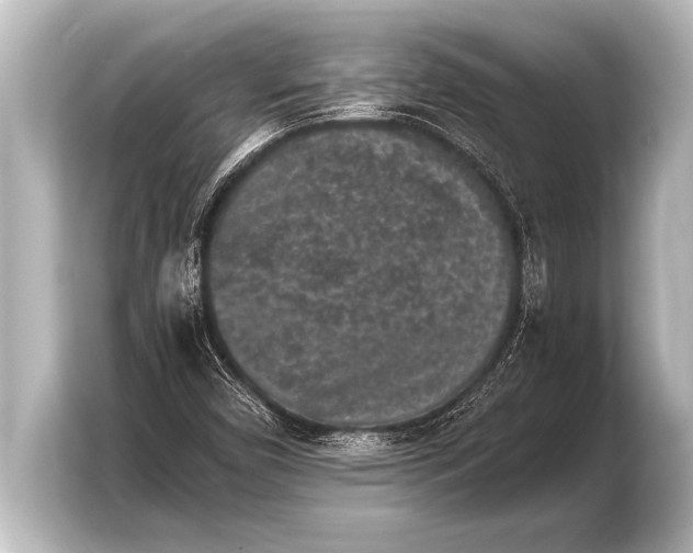 X0000103961450200810031154