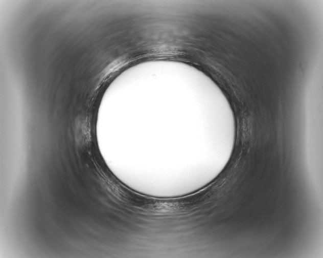 X0000103961451200810031154