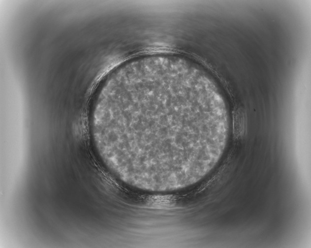 X0000103961453200810031154