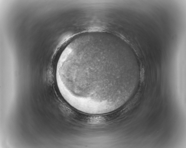 X0000103961454200810031154