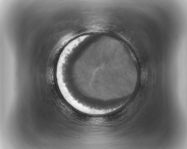 X0000103961455200810031154