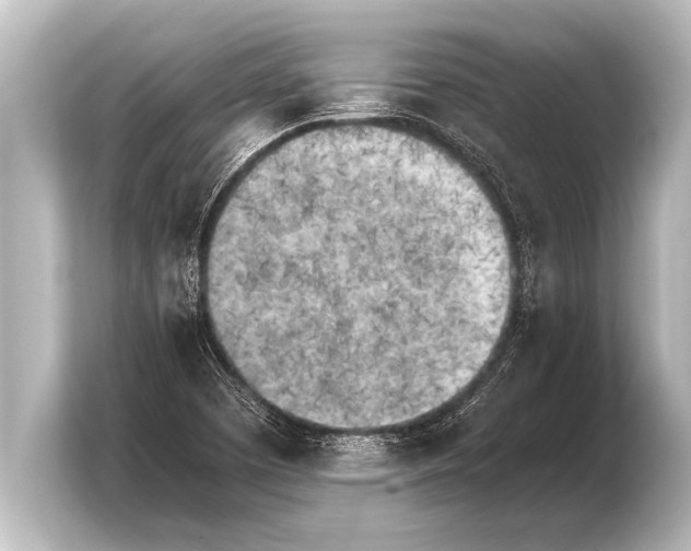 X0000103961457200810031154