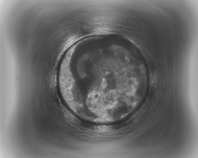 X0000103961459200810031154