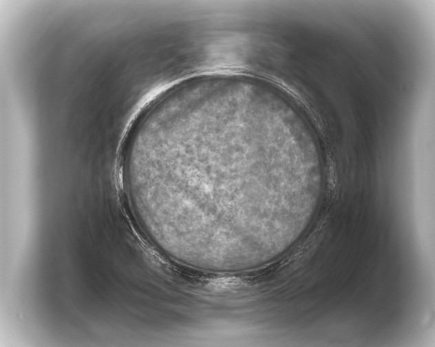 X0000103961462200810031154